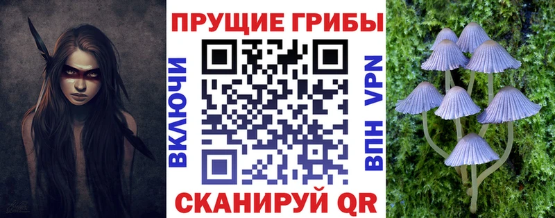 Галлюциногенные грибы прущие грибы  блэк спрут   Приволжск 